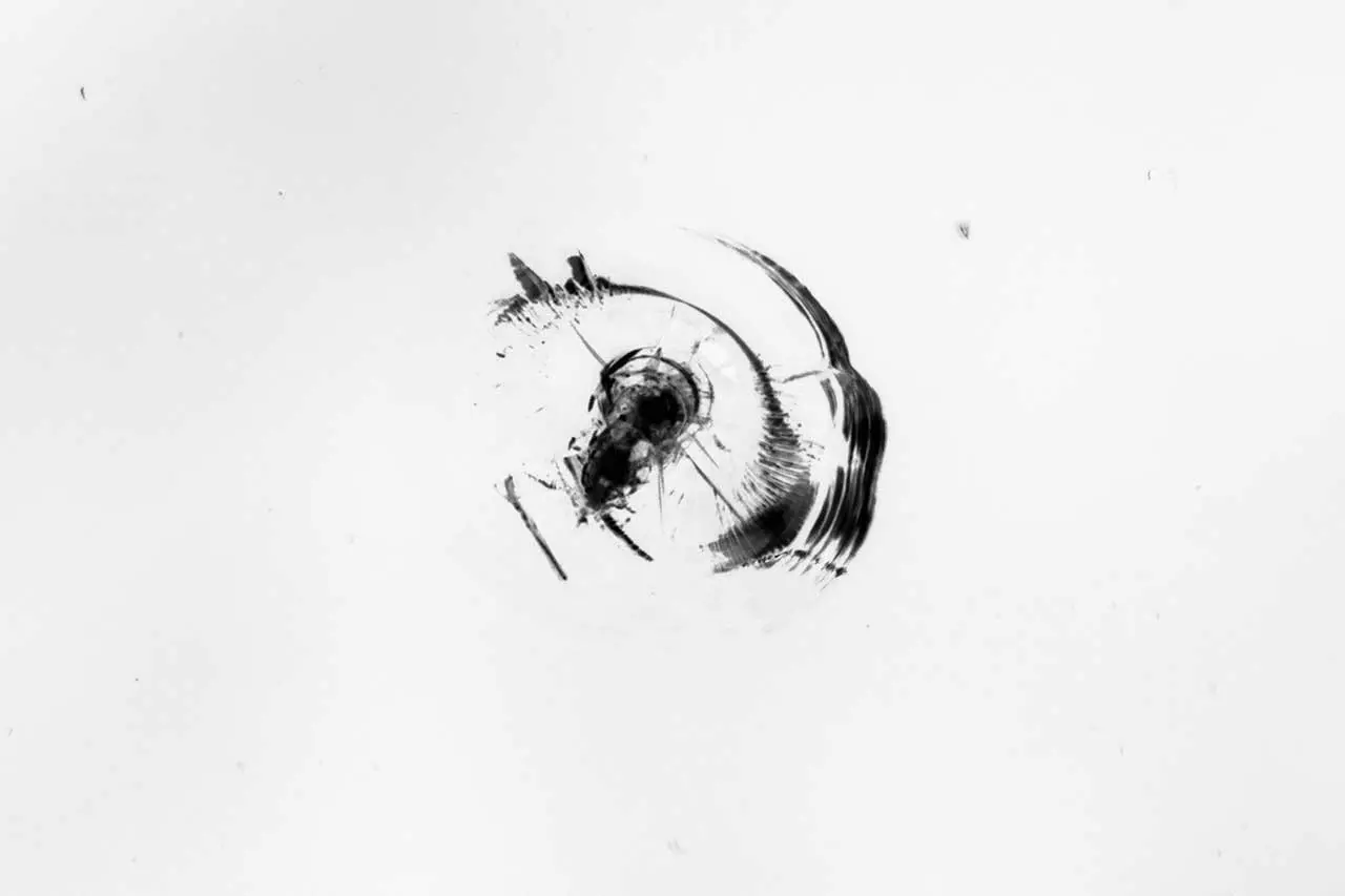 パーシャルブレイク